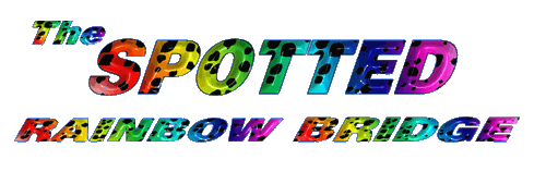 SpotType.gif - 53475 Bytes